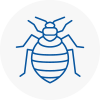 Bed Bug Extermination In Kibworth