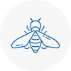 Bee Nest Removal Kibworth
