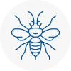 Kibworth Hornet Nest Removals