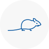 Mice Exterminators In Kibworth