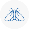 Moth Control Specialists In Kibworth