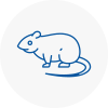 Rat Control Kibworth