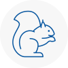 Kibworth Rodent Removals